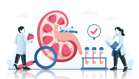 Pieloplastia renal: saiba como é realizada a "plástica" do ureter